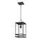 Z-Lite Nuri 1 Light Outdoor Chain Mount Ceiling Fixture, Black & Clear 596CHM-BK - alternate 4